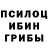 Псилоцибиновые грибы Cubensis Shane Welch