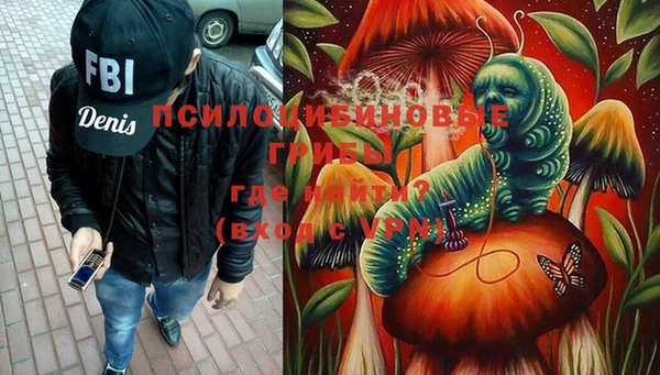 бошки Касимов